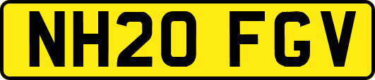 NH20FGV