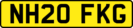 NH20FKG
