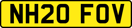NH20FOV