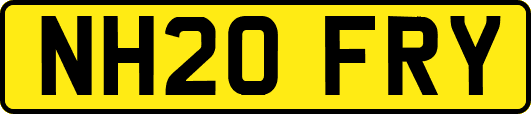 NH20FRY