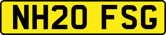 NH20FSG