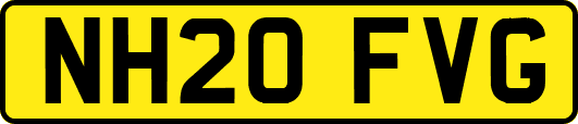 NH20FVG