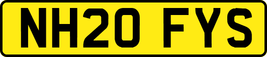 NH20FYS