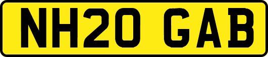 NH20GAB