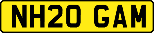 NH20GAM