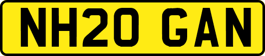 NH20GAN