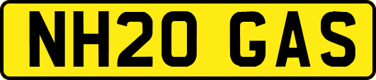 NH20GAS