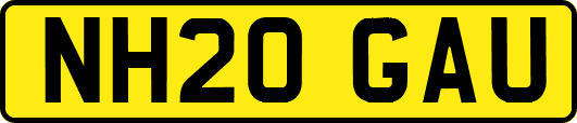 NH20GAU