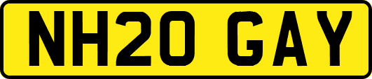 NH20GAY