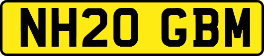 NH20GBM