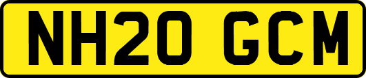 NH20GCM