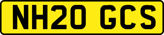 NH20GCS