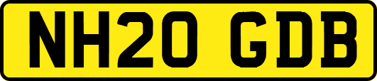 NH20GDB
