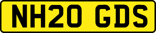 NH20GDS