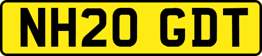 NH20GDT
