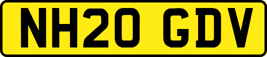 NH20GDV