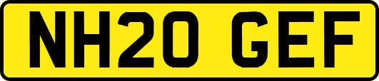 NH20GEF