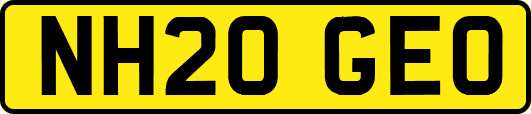 NH20GEO
