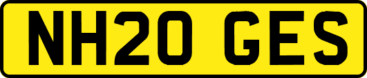 NH20GES