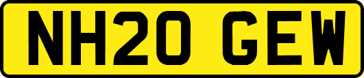 NH20GEW