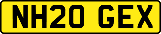 NH20GEX