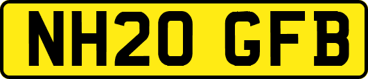 NH20GFB