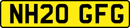 NH20GFG