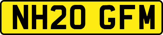 NH20GFM