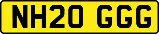 NH20GGG