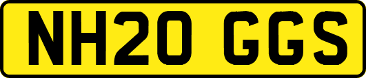 NH20GGS