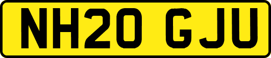 NH20GJU