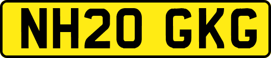 NH20GKG