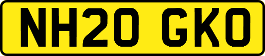 NH20GKO
