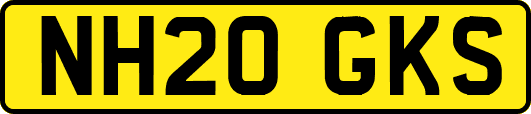 NH20GKS