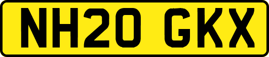 NH20GKX