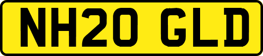 NH20GLD