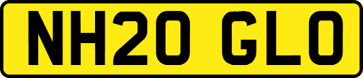 NH20GLO