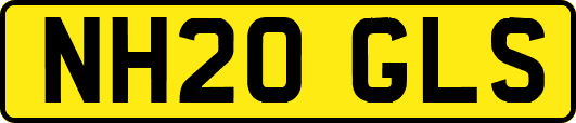 NH20GLS