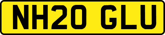 NH20GLU