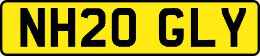NH20GLY