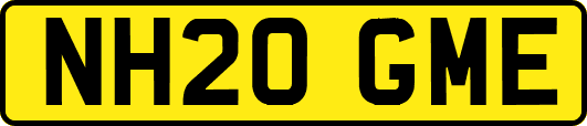 NH20GME