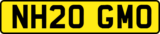 NH20GMO