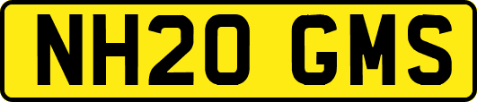 NH20GMS