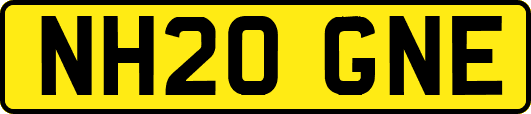 NH20GNE