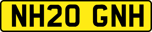 NH20GNH