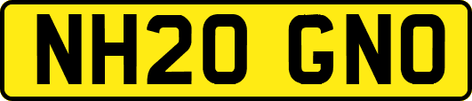NH20GNO