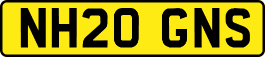 NH20GNS