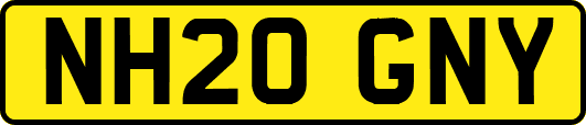 NH20GNY