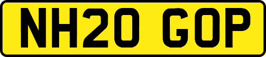NH20GOP
