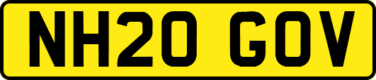 NH20GOV
